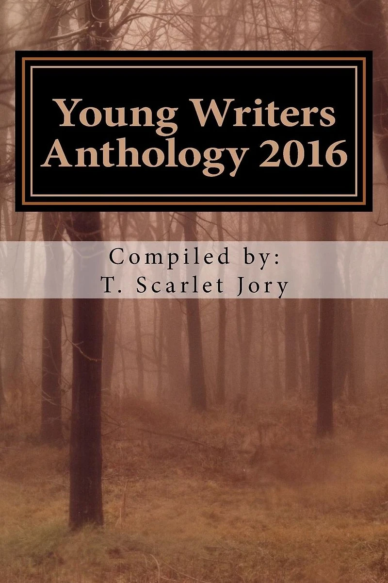 Young Writers Anthology 2016: A National Novel Writing Month Project Aimed to Inspire Young Writers