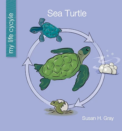 Sea Turtle