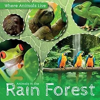 Animals the Rain Forest