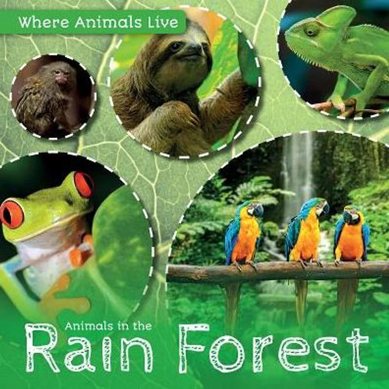 Animals the Rain Forest