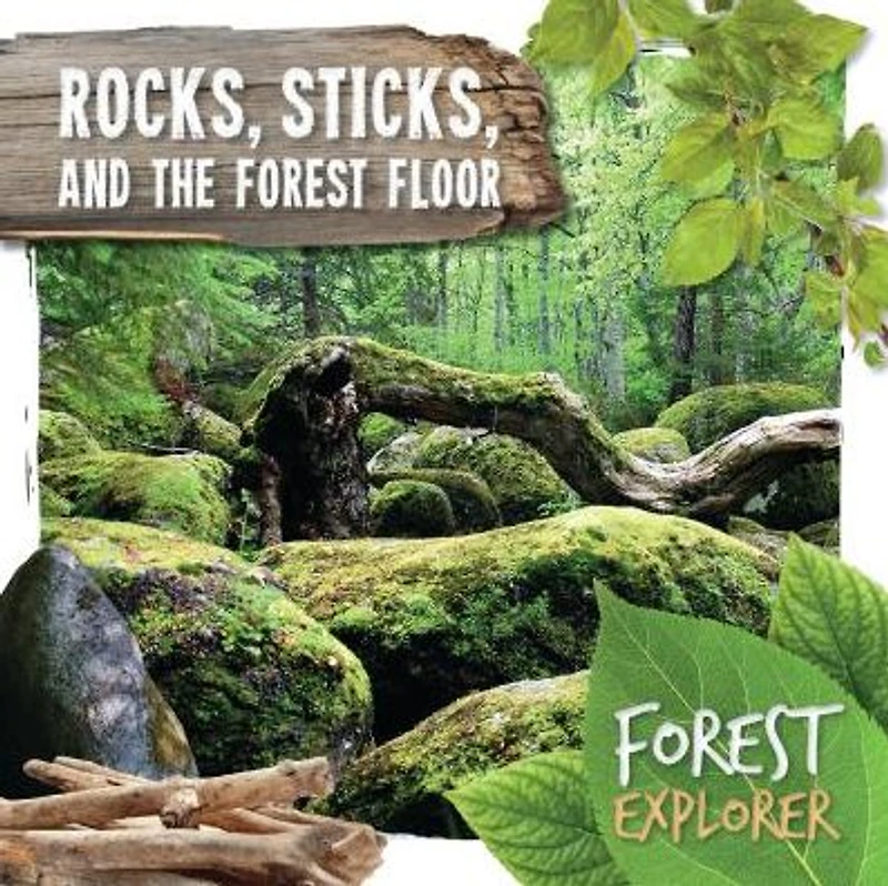 Rocks, Sticks, and the Forest Floor