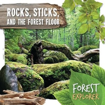 Rocks, Sticks, and the Forest Floor