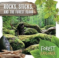 Rocks, Sticks, and the Forest Floor