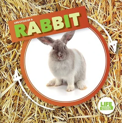 Life Cycle of a Rabbit