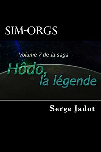 Sim-Orgs