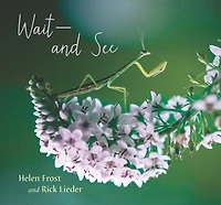Wait and See