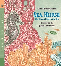 Sea Horse: the Shyest Fish (Read and Wonder Series)
