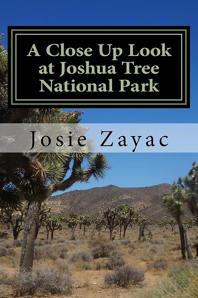 A Close Up Look at Joshua Tree National Park
