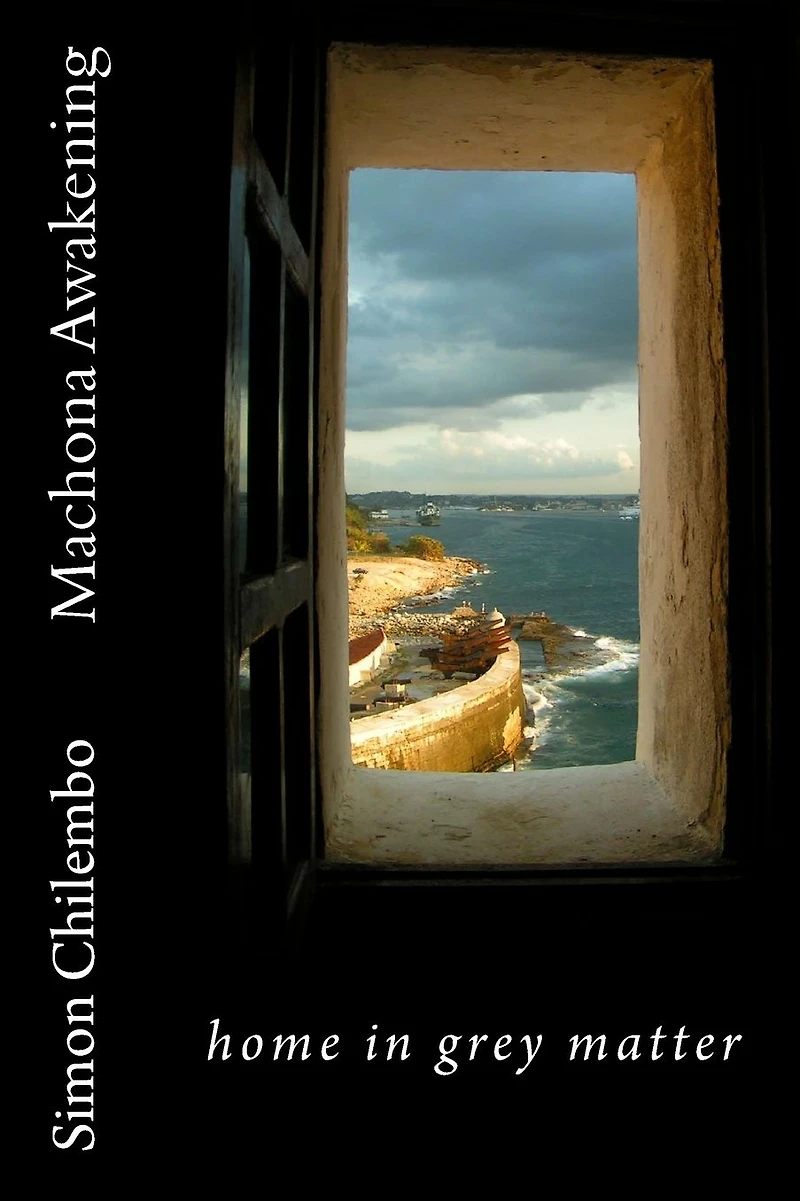 Machona Awakening: home in grey matter
