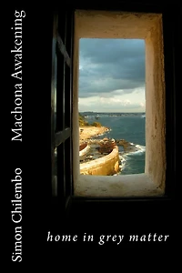 Machona Awakening: home in grey matter