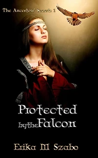 Protected By The Falcon