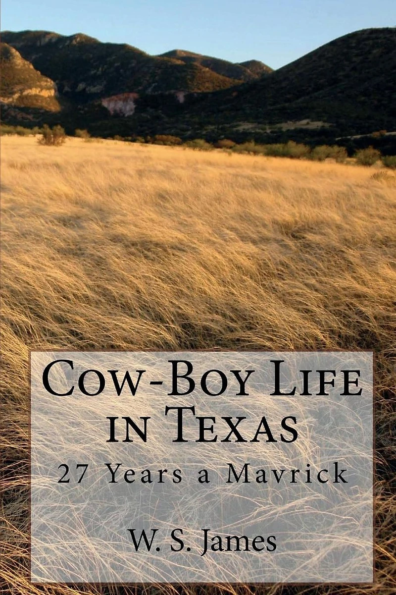 Cow-Boy Life in Texas (Illustrated Edition): 27 Years a Mavrick