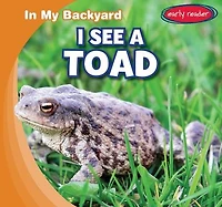 I See a Toad