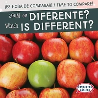 ¿Cuál es diferente? / Which Is Different?