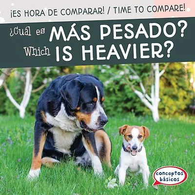 ¿Cuál es más pesado? / Which Is Heavier?