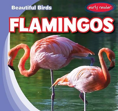 Flamingos