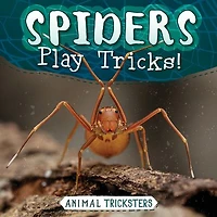 Spiders Play Tricks!