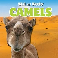 Camels