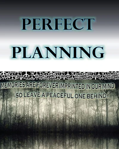 Perfect Planning: Organizing A Perfect Life Story.
