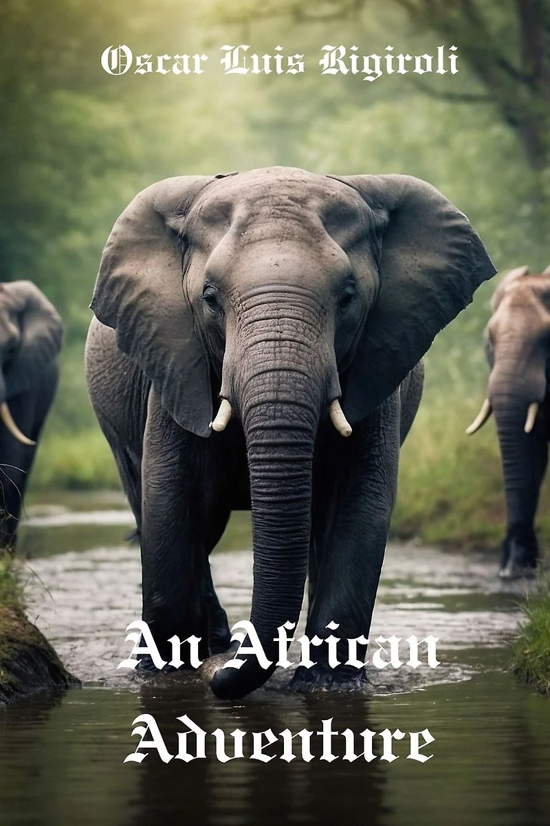 An African Adventure (The Trail, #1)