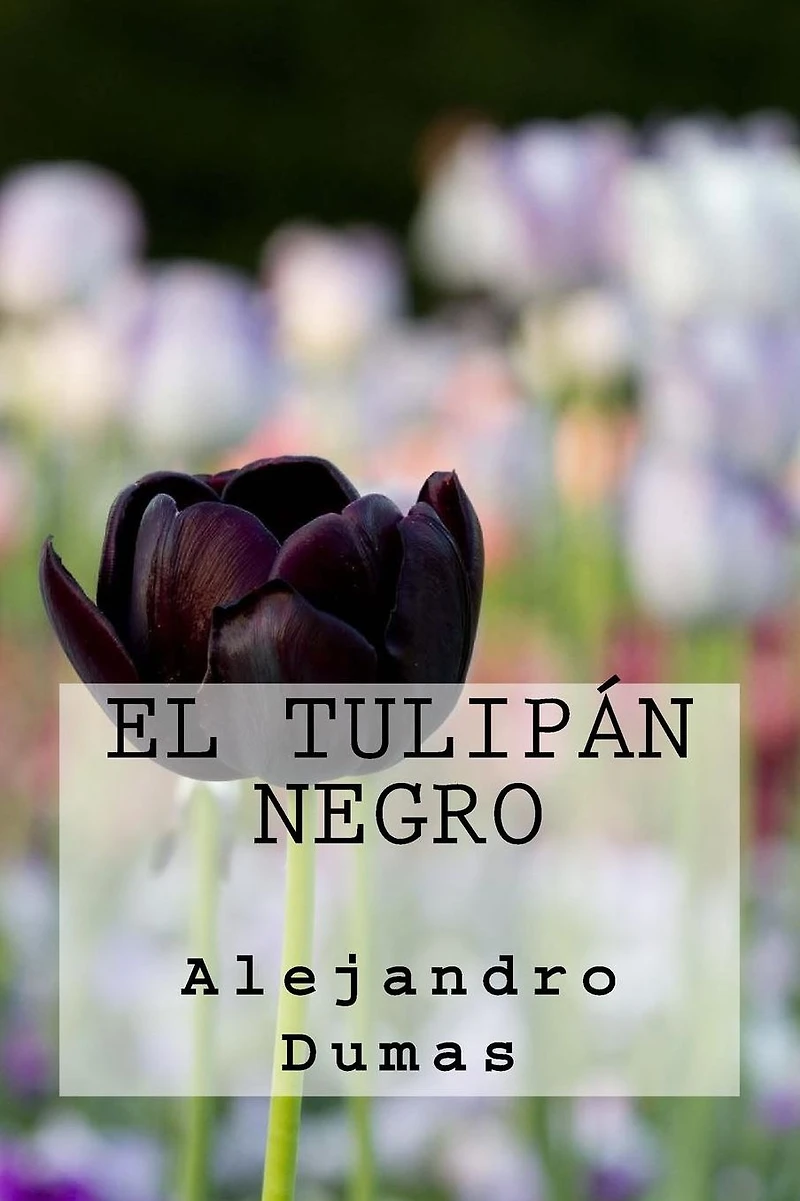 El tulipan negro