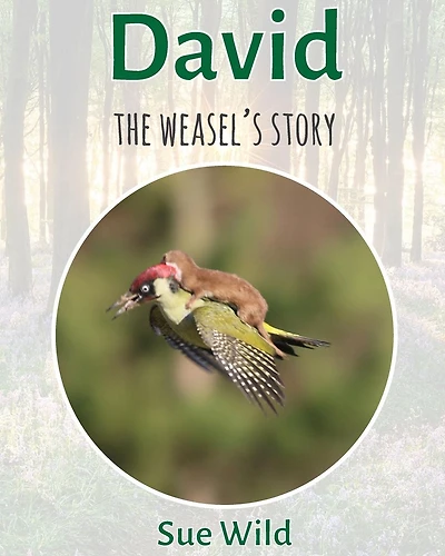 David: The weasel's story