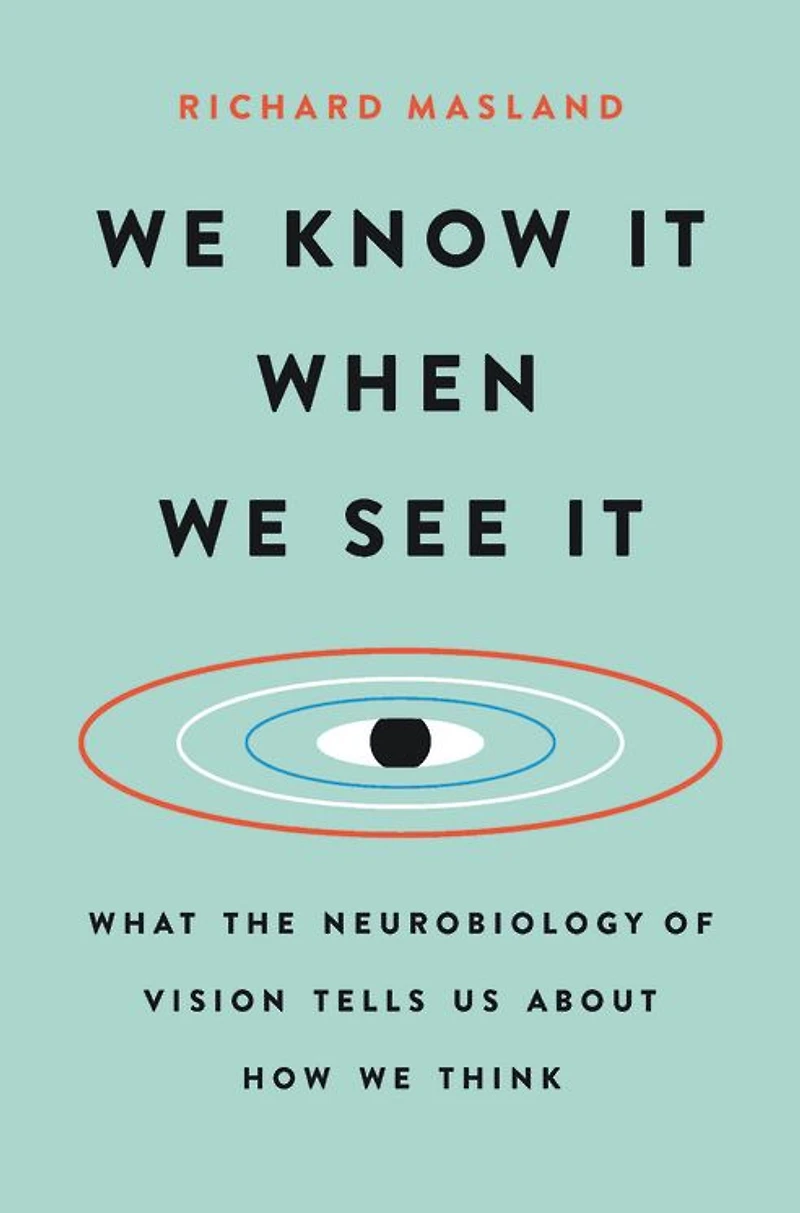 We Know It When See It: What the Neurobiology of Vision Tells Us About How Think