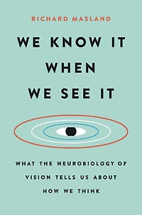 We Know It When See It: What the Neurobiology of Vision Tells Us About How Think