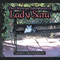 The Glorious Adventures of Lady Sara
