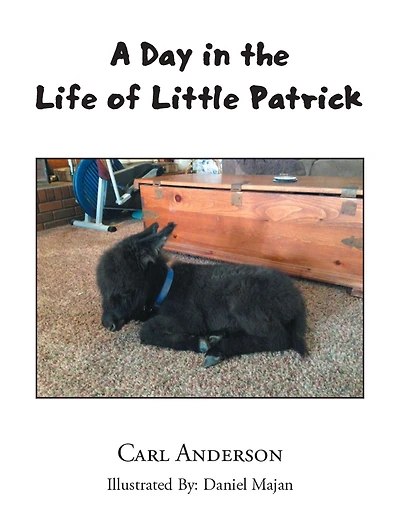 A Day the Life of Little Patrick