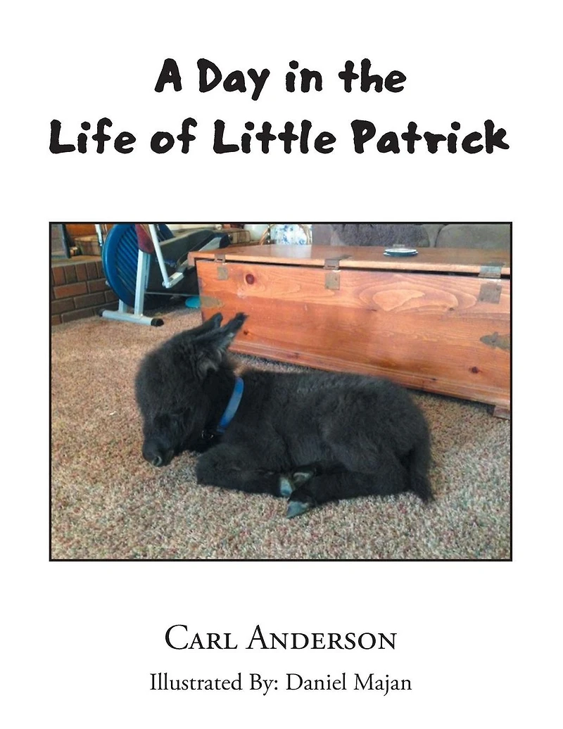 A Day the Life of Little Patrick