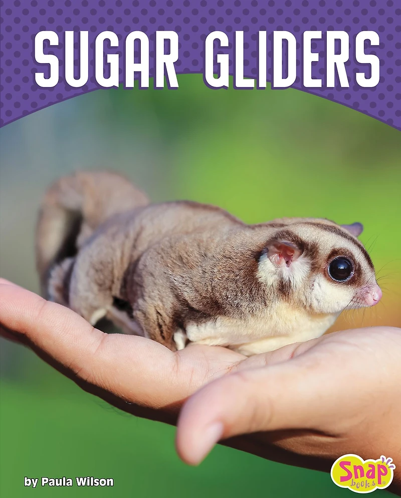 Sugar Gliders
