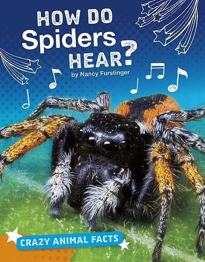 How Do Spiders Hear?