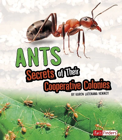 Ants: Secrets of Their Cooperative Colonies