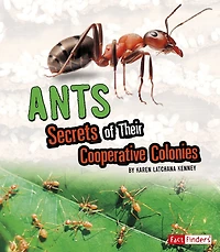 Ants: Secrets of Their Cooperative Colonies
