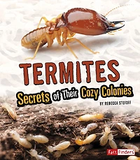 Termites: Secrets of Their Cozy Colonies