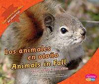 Los animales en otoño/Animals in Fall
