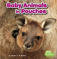Baby Animals Pouches