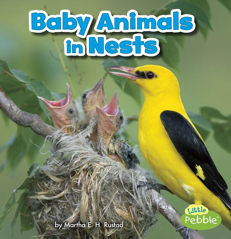Baby Animals Nests
