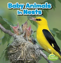 Baby Animals Nests