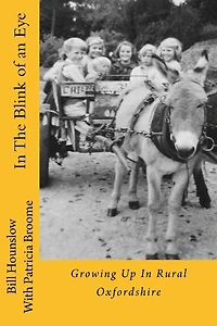 In The Blink of an Eye: Growing Up in Rural Oxfordshire (Illustrated Edition)
