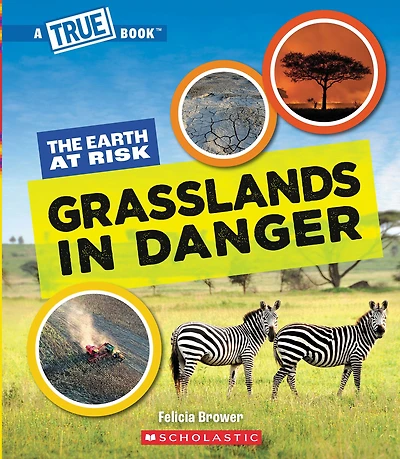 Grasslands Danger (A True Book: The Earth at Risk)