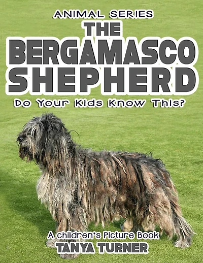 THE BERGAMASCO SHEPHERD Do Your Kids Know This?: A Children's Picture Book