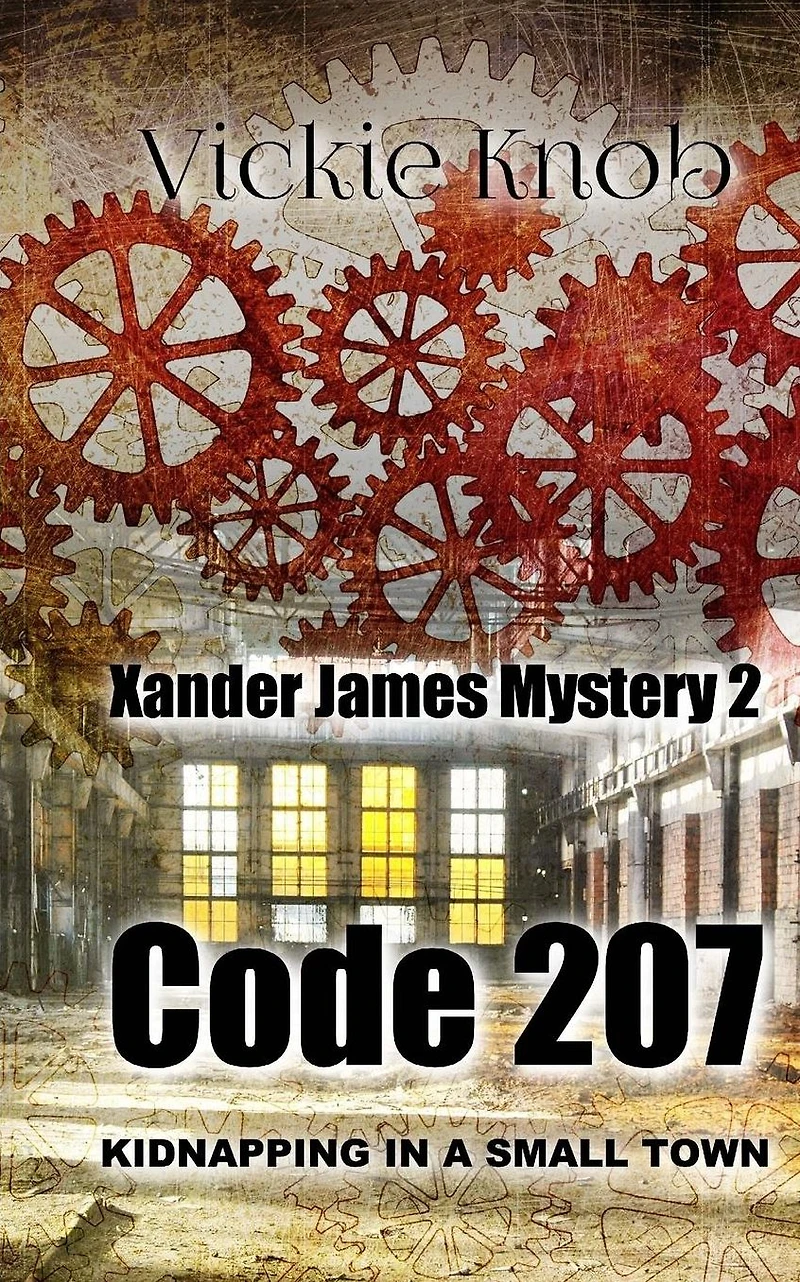 Code 207: Kidnapped in a small town