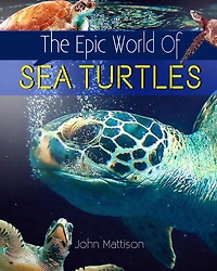 The Epic World Of Sea Turtles