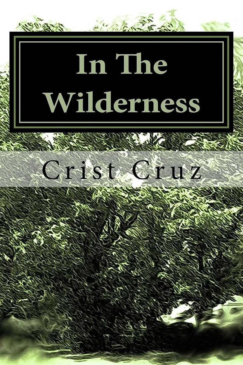 In The Wilderness