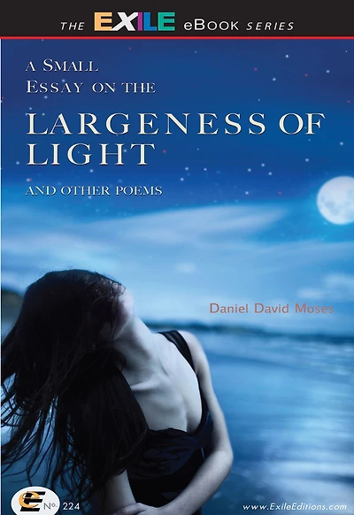 A Small Essay on the Largeness of Light and Other Poems