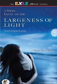 A Small Essay on the Largeness of Light and Other Poems
