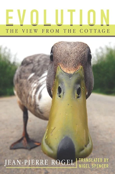 Evolution: The View from the Cottage