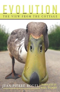 Evolution: The View from the Cottage